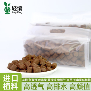 �p���������b�䳲�w��ֲ�ϻ��T�Gֲ�I�B����ֲ�����ﺣ���^�~ֲ��