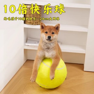 ���������ʮ���옷�򳬴�W��24cm�����␞��Ȯ�»�����������Ʒ