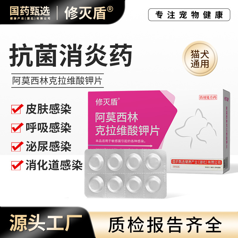 Amoxicillin and Potassium Clavulanate Tablets, Anti-Inflammatory Medicine for Cats and Dogs, Cold Medicine for Cats, Cat Nasal Congestion
