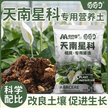 �����ǿƌ�����������������Ʒ�|͸�����ɷNֲ�������ǿƌ�����