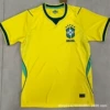 Brazil home