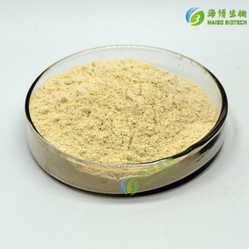 Branched Pine Pollen 98% Branched Rate Pine Pollen, Hai Bo Biology, Bulk Purchase Advantage