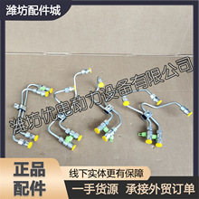 �p�ӷ�й©�����߉��͹�1002126493�H��WP6늇��������Ͱl�әC