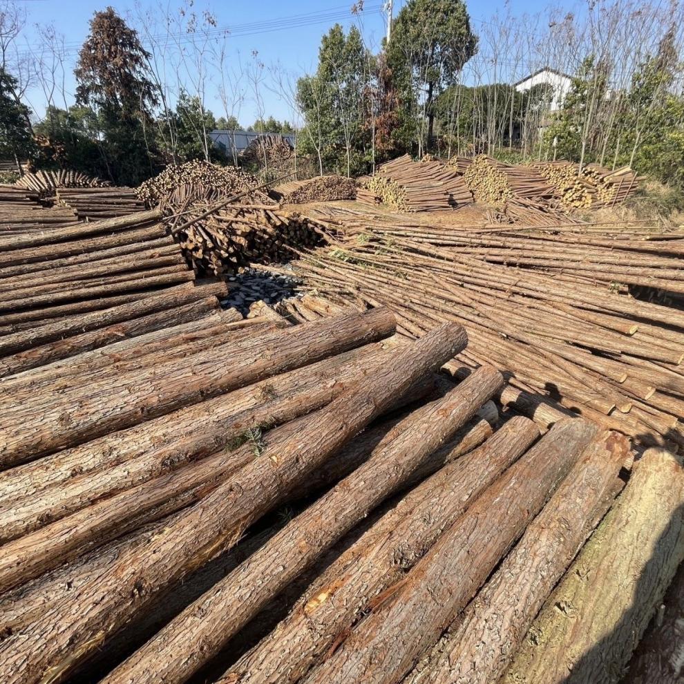 d6f551cb-0ed5-4d0a-ab21-e58d095ef573.jpe