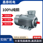 YE3三相交流马达异步电动空压机机械设备低嗓音电机厂家直供