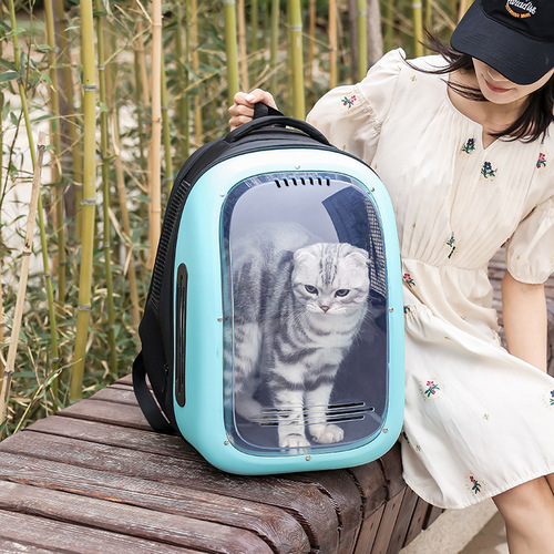 Factory direct supply cat bag for outdoor use, portable shoulder bag, breathable space capsule, foldable cat bag, pet travel backpack