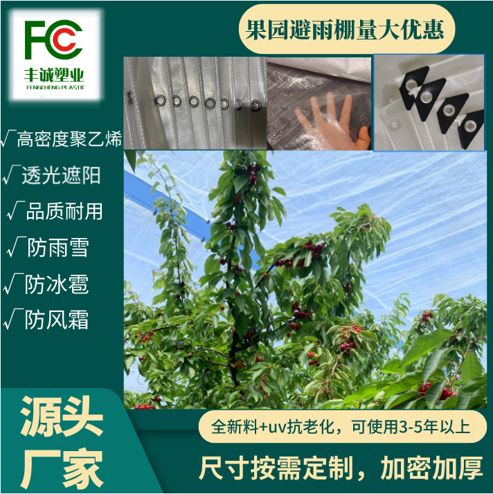 防雨防风防冰雹雨布 包边打扣眼篷布PE果园避雨棚透明透光布