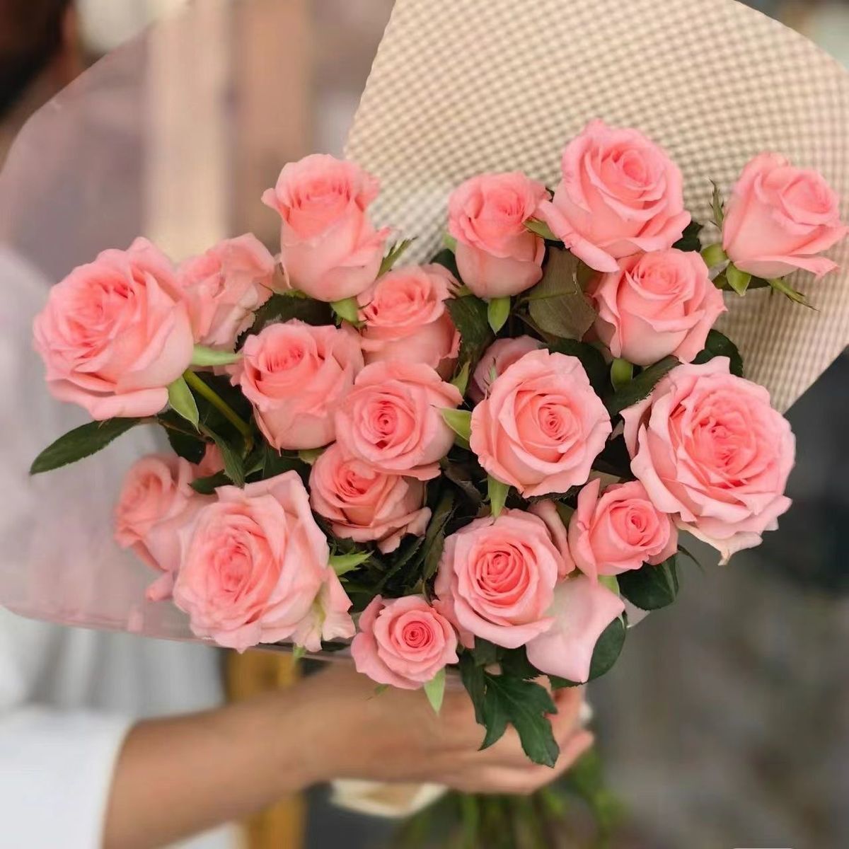 戴安娜玫瑰新鲜玫瑰花云南斗南基地直发批发花苞带网套发货水培花