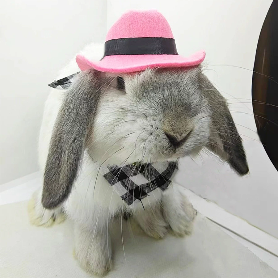 Rabbit, hat, denim eating bib, scarf, pet