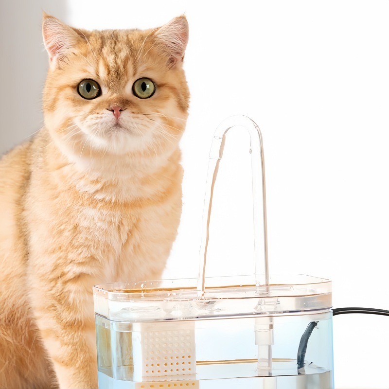 Gato dispensador de agua flujo de circulación automática dispensador de agua mudo boca no húmeda dispensador de agua perro cuenca de agua suministros para mascotas