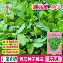 �㶹�N�����㶹��N�ь����㶹���ļ����N����㶹���m���߲˷N��