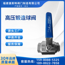 哈氏合金Hastelloy锻造高压浮动球阀 耐高压 耐腐蚀 二片式