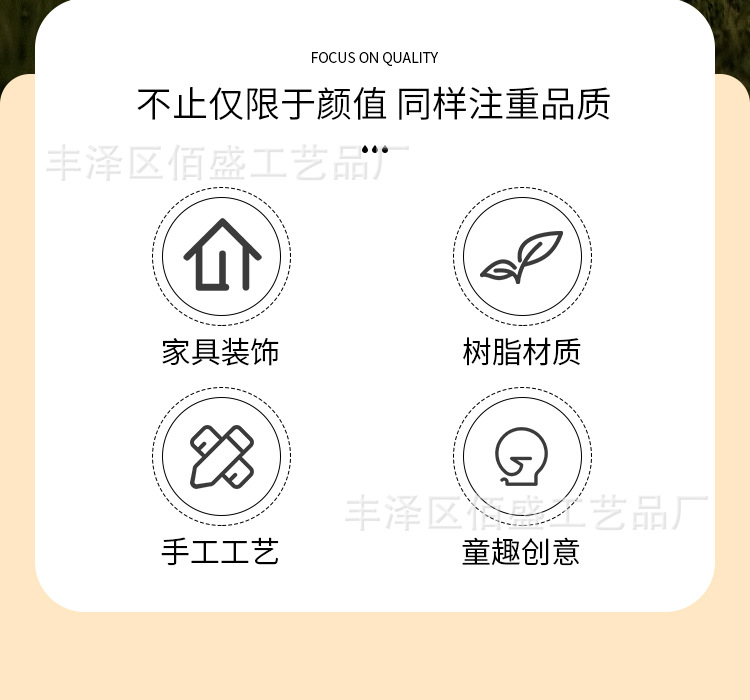 多肉乌龟_02.jpg