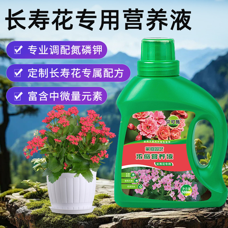 厂家长寿花专用植物营养液体花肥通用水培蔬菜农用贝可施批发代发