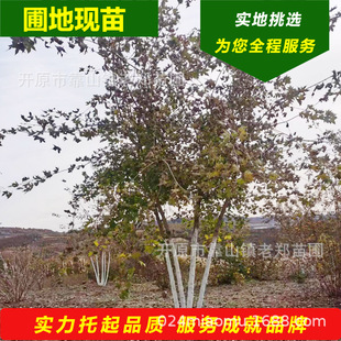 ������l��3-8�׸����Ǘ��@���^�p�G����|���l����N��l�����l