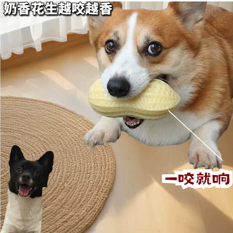 Оптовая продажа заводских игрушек для собак, звучащий арахис, сжимаемый, устойчивый к укусам и прорезыванию зубов, милый и снимающий скуку артефакт, мяч для собак интернет-знаменитостей