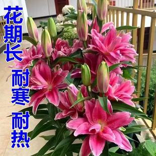 ��ˮ���N�ٺϻ��N���ļ����׻��B�����҃Ⱥ��M�����Ի��ܾGֲ�_��