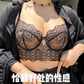 欧美性感大胸显小超薄刺绣上托防下垂条纹大码蕾丝内衣女文胸套装