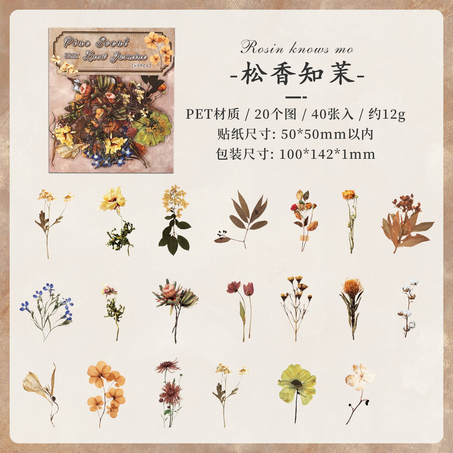 Paquete de pegatinas de cuenta manual de la serie de sueños florales Pegatinas de flores de plantas retro Pet Bolsa de pegatinas de plantas de flores impermeables