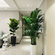 ���ڸ��FҬ�Ӵ��;Gֲ���Կ͏d�k���Һ��B�辰�ļ��������ȩAB