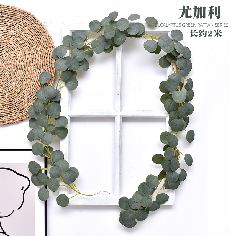 尤加利藤条