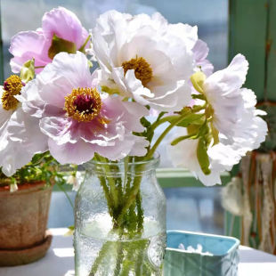 ˮ�B����ș�F��ĵ���r���ذ�������l�����󻨰��r�����ֱ�lɽ�|