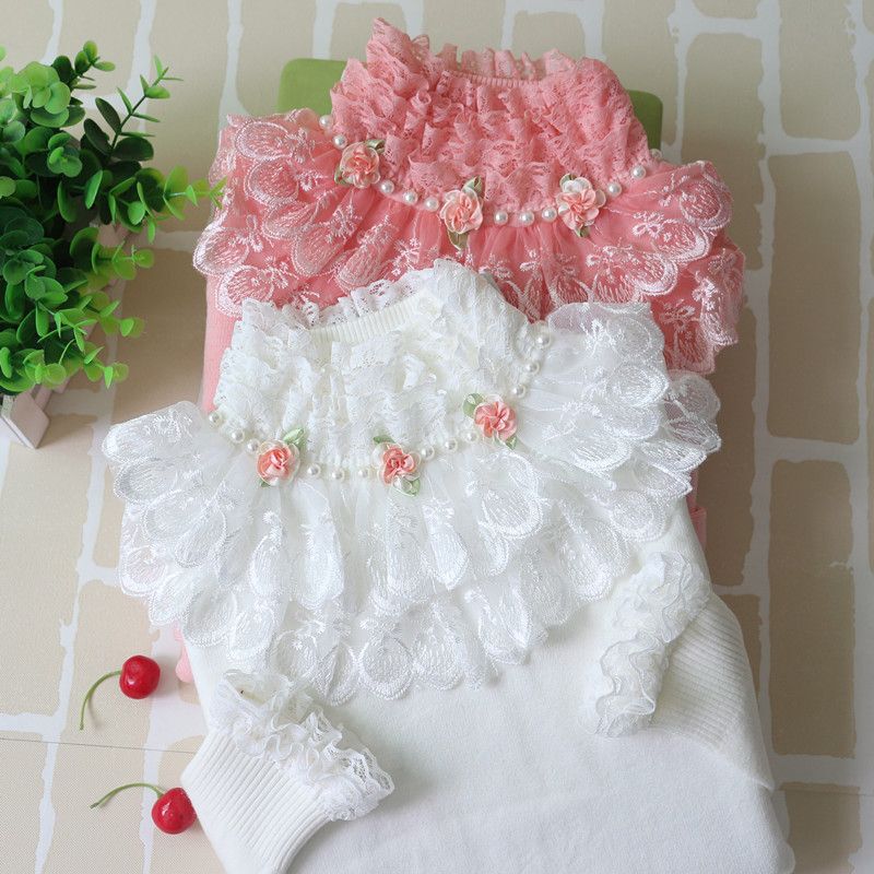 Autumn and Winter Sweet Lace High-Neck Short Super Popular Sweater Long-Sleeved Slim Pullover Knitted Bottoming Shirt Women's Top