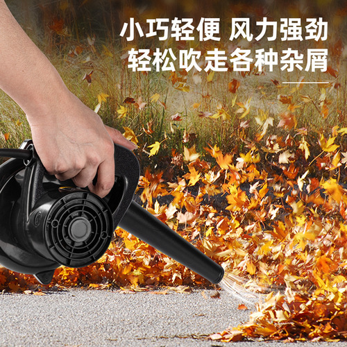 Powerful Drum Blower Electric Hair Dryer Computer Dust Remover Small Ash Blower 450W Blowing and Sucking Drum Fan DL661400