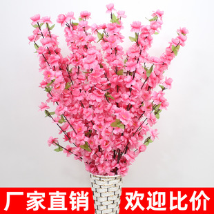 �����һ�֦�ٙѻ��D÷�����ϻ��ɻ��껨�٘��쾰��ؔ[���҃��b�