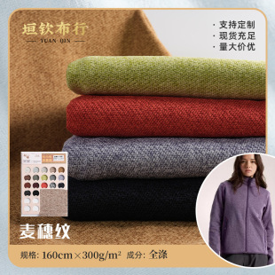 300D288F����yᘿ�����300G�r��Ů�b�������׼Ҿӷ�����