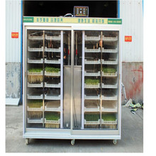 廣西全自動培育豌豆芽苗機箱式恆溫豆類豆苗機蘿卜苗蠶豆面育苗機