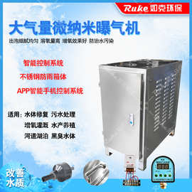 微纳米曝气机 RWP水上设备 黑臭污水增氧纳米发生器