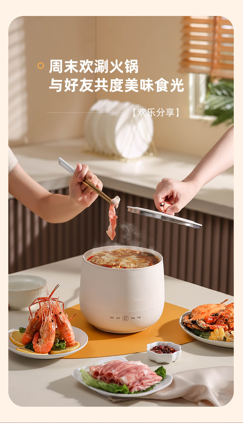 迷你电饭煲智能