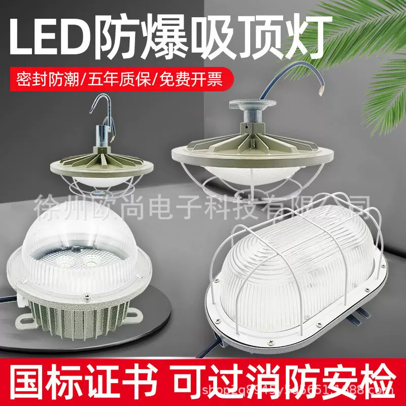 led防爆吸顶灯消防车间仓库房挂钩防水椭圆三防隔爆型油站照明灯