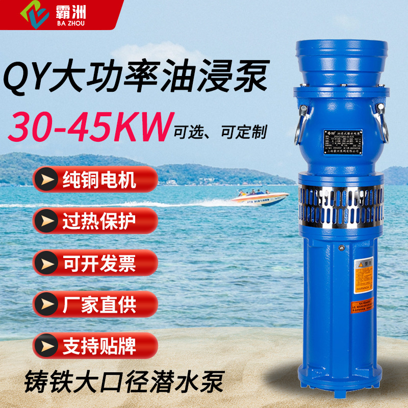 qy大功率油浸泵大流量潜水泵农用园林排灌抽水泵高扬程喷泉泵批发