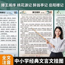 其他益智玩具;玩具挂图;早教闪卡