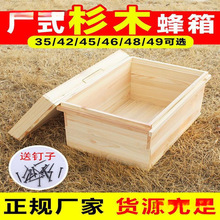 中蜂小蜂箱蜂箱蜂箱杉木板方形标准箱中峰箱子平峰养蜂十框新款45