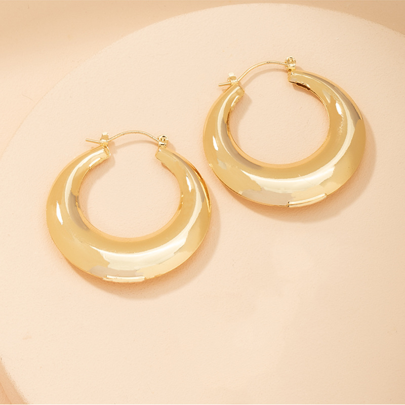 Fashion Geometric Alloy Earrings Wholesale display picture 3