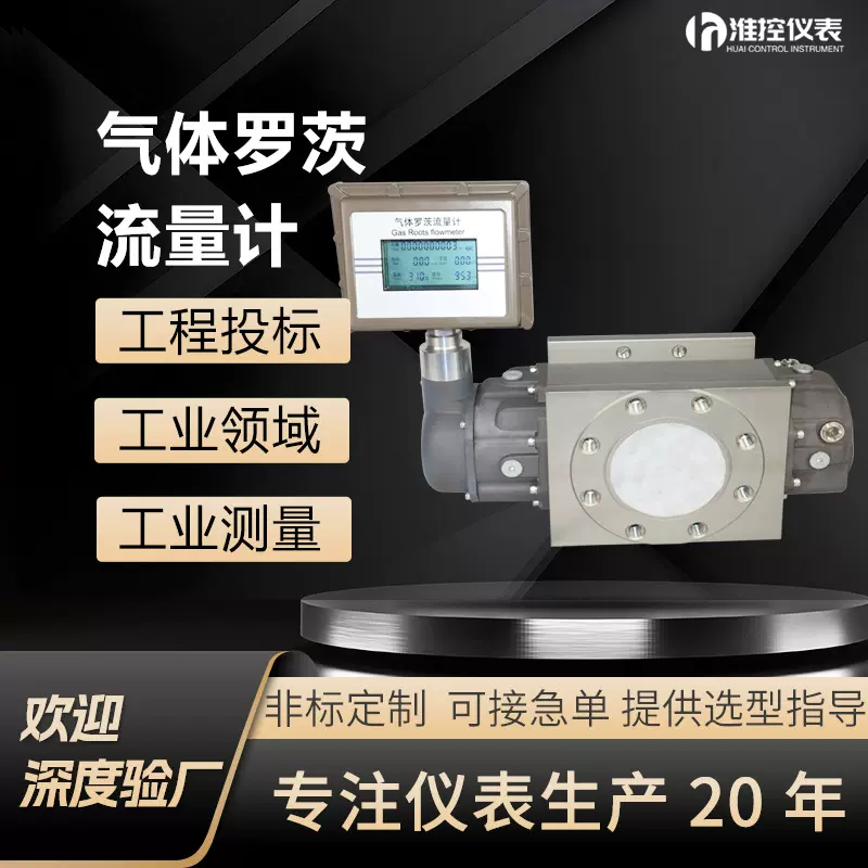 腰轮罗茨流量计煤瓦斯液化天燃气贸易结算LLQ智能罗茨流量计DN40