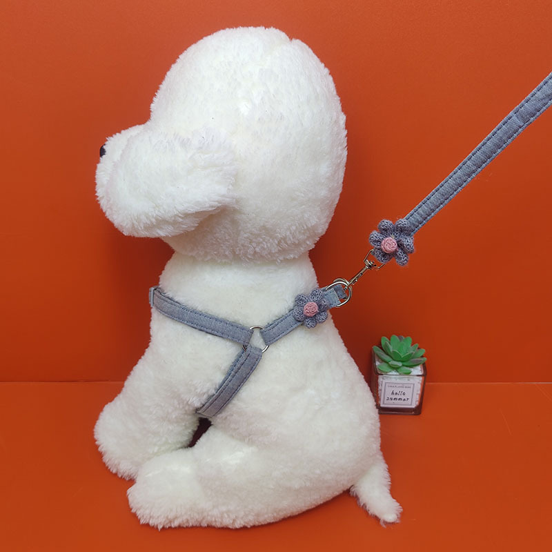 Pet Teddy Pomeranian Cat Walking Comfortable No Neck Strangulation Dog Leash Harness_voghion.com