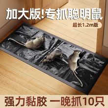魔老鼠毯无毒粘鼠贴板家用一窝端抓粘大防蚊鼠胶驱捕鼠神器强效