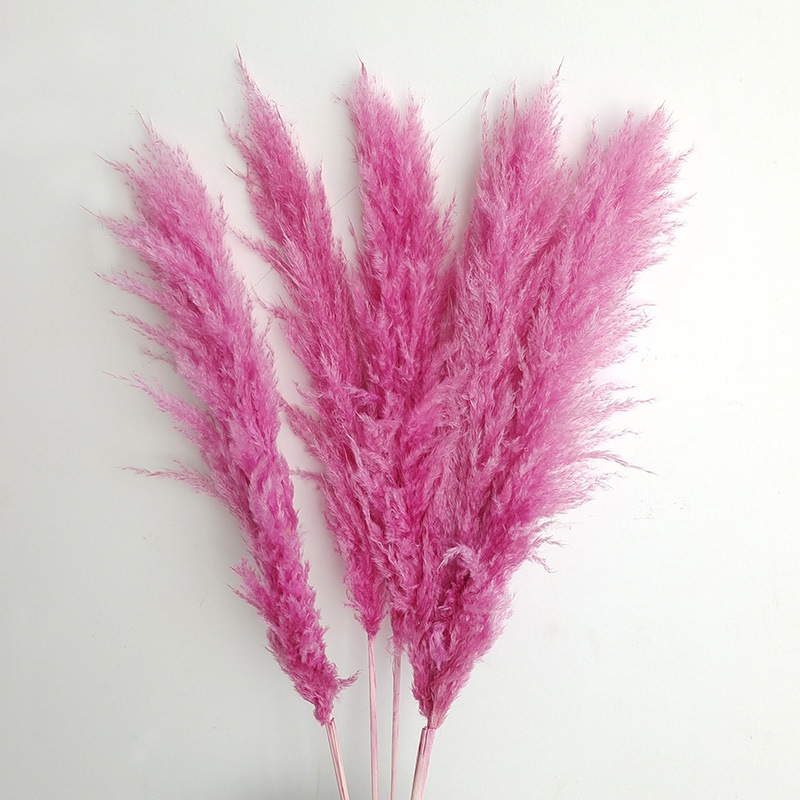 (10)5 꽃 스파이크 70-80cm 전체 길이 약 140cm