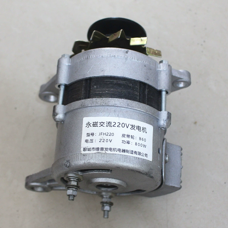 Gears, copper brushless engine, 220v, 2000W, high power, generating electricity