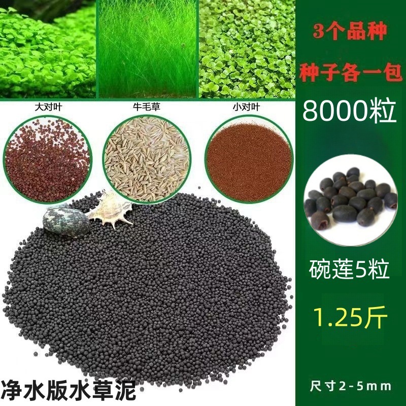 [핫세일] 워터그라스머드 0.63kg - 크고 작은 잎 쌍 + 소털 8000개 + 그릇연꽃 5개