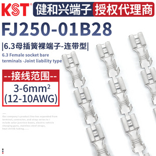KST�����dFJ250-01B28�B���ͽӾ����� 6.3ĸ����B�@�� K.S�B����
