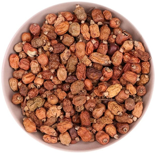 500��Ѭ�����t��ޢ���ϕ�����w�t��ޢ�����������ɴ��