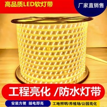 220V�����ˮip67��led����2835�߉��p�����ż����������͟��l