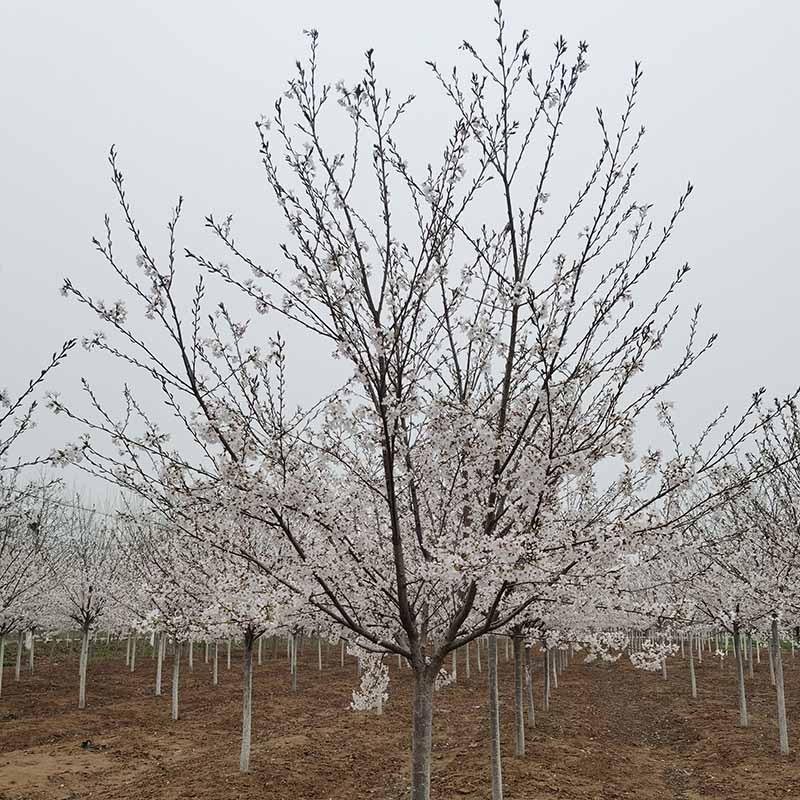 微信图片_20230818145750 副本.jpg