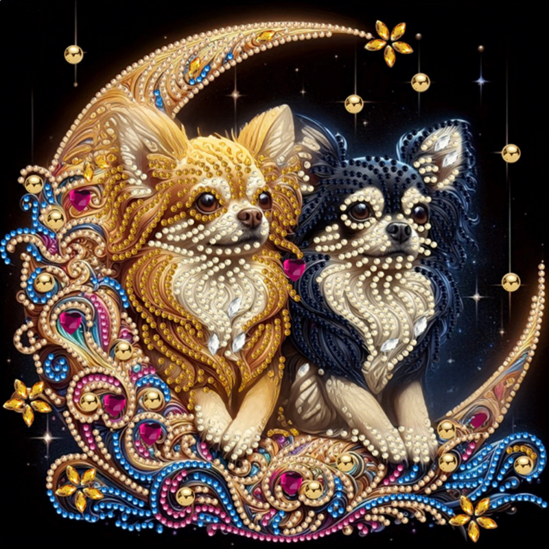 Pintura de Diamantes 5D con Forma Irregular de Princesa de Fantasía, Pintura de Diamantes DIY, Pintura de Diamantes con Puntos de Cristal, 30×30