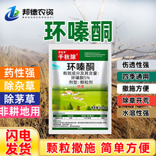 �h�ͪ��������ӹ�ľ���䄩���SͥԺ�F·�C���s�݌���ɭ �ַ���